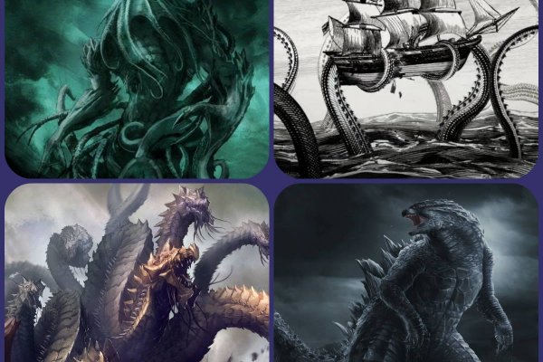 Магазины котиков для начинающих